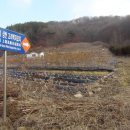 서리상반고려백자요지 이미지