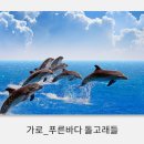 풍수부동산중개사무소 네이버블로그