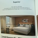 한무컨벤션 직원식당(호텔오크우드) | 머큐어 서울 마곡 호텔 주니어 스위트룸 호캉스 아코르 플래티넘 숙박 후기