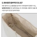 신사1-003 | 【강아지 이동가방 슬링백】 추천 브랜드 모음 :: 대중교통 강아지 크로스백 (가벼운/어깨 안 아픈)