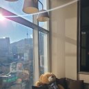 B03 | 롯데시네마 명동에비뉴엘 샤롯데관 후기 | B03, B04