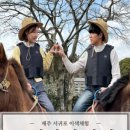 수화목장 이미지