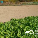 기쁨드리는공인중개사사무소 이미지