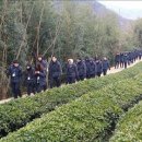 하동군청 이미지