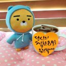 실버체조 이미지