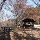 장원초교 이미지