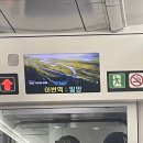 소연돼지국밥 | 여기가 밀양이가?