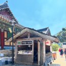 불갑약수터 | [영광 상사화 축제] 광주 목포 근교 9월 가을 꽃구경하기 좋은 영광 불갑산 상사화 축제