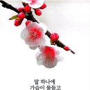 정(情) - 사랑과 이미지