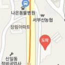 정재용치과의원 티스토리