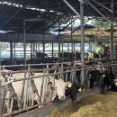 일석이조 이미지