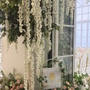 고전읽기로 생각쌓기(상반기) | 서울 마곡나루역 보타닉파크 웨딩 카라홀 투어 [27년 상반기 견적공유]