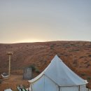 언덕농장 | 두바이 여행후기 마지막편(사막캠프|낙타농장|요트)