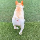 카페센텀 네이버블로그