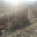 용우외가농장 이미지