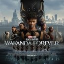 Black Panther Wakanda Forever 이미지