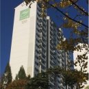솔샘로 33 네이버블로그