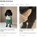 먼지.zip 이미지