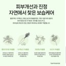 블루베라