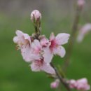 새로이농장 이미지