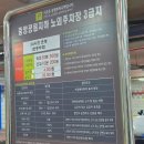 자연생 | 부천 중앙공원 능소화 명소 꽃구경 실시간 개화상황과 가는방법