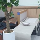 나비엘갤러리 이미지