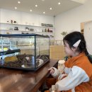 건이네 파충류 | 아이와 울산 건이네파충류 &amp; 카페 방문 후기