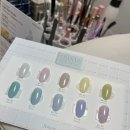 올바름 반려견 뷰티샵 | 송리단길 네일샵 여름휴가 맞이 기분전환 성공! NAIL:예 파우더 젤네일 후기