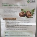 원주가표고버섯