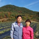 김재호 농장 이미지