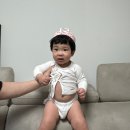 풍진목장 이미지