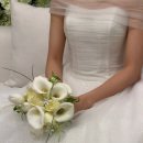 어진 | 울산 아이폰스냅 어진스냅 본식후기, 울산W시티 그랜드홀 (2026.02)(내돈내산)