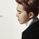 넥스트인사이트