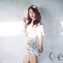 플라워옵티칼 네이버블로그