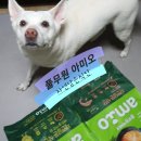 (주)오에스피 | 풀무원아미오 자연담은식단 사료_입 짧은 진도 만족😋👍