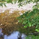 쪽빛하늘 캠핑장 이미지