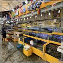 청춘수산 이미지