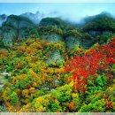 버스정류장 06-011 이미지