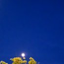 세븐일레븐 세종나성점 이미지