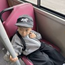 카페테리아누리 | [동탄] 평일 반차 내고 다녀온 '키즈다쿵' 내돈내산 솔직 후기! 5살 취향 저격 놀거리 총집합