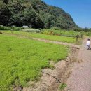 신농농장 | 아이와 함께하는 특별한 체험, 대구 '희망토농장' 추천!