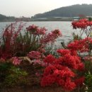 고향의 봄(공예) 이미지