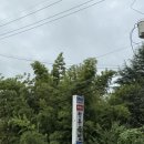 칠곡한우장터 | 허영만도 인정한 대구 칠곡 화개장터 가마솥국밥 한우국밥 특과 육회비빔밥 내돈내산 후기