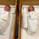 베스트산후조리원 | [쌍둥이 출산] 수원 호매실 더케어산후조리원 2주 후기 이용후기