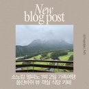 11260-2-1-9 | 고성 소노캄 델피노 1박 2일 후기｜9개월 아기와 부모님 가족여행, BBQ팩토리·카페 추천