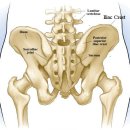 유일퍼스널트레이닝 이미지