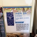 신흥고등학교 | 청주타로맛집 발견 🔮커피 맛까지 좋은 율량동 진카페&amp;타로 후기