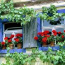 기타연주 이미지