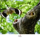 별빛뜨락 이미지