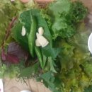 백록통닭